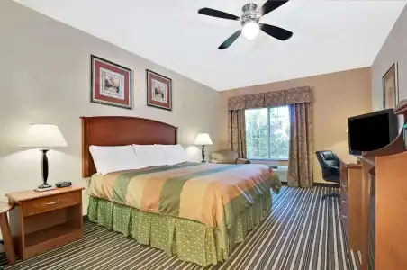 Super 8 by Wyndham Austin/Airport South - 29