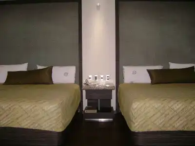 Holiday Inn Express Mexico Basilica by IHG - 3
