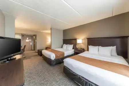 Comfort Suites Austin Airport - 78