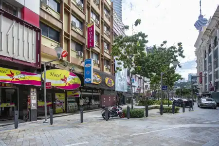 Grand Orchard - 15