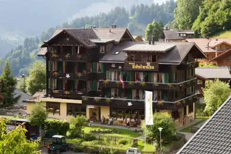 Edelweiss Wengen - 12