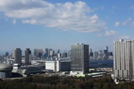Tokyo Bay Ariake Washington - 48