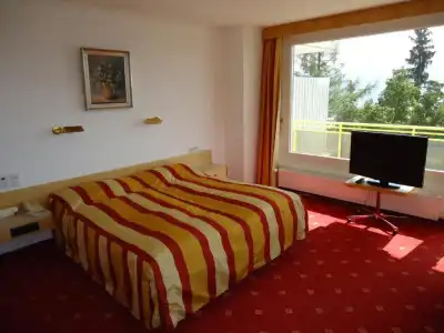 Grand du Parc Montana - 21