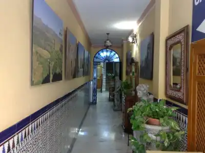 Hostal Virgen del Rocio - 14