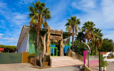 DiverDino Marbella - 11