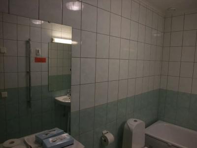 Cikada - 8