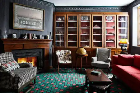 White Swan Inn - 8