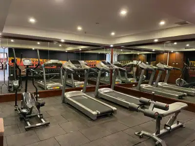 Rex Hanoi - 25