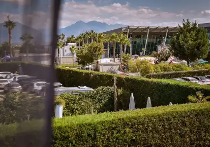 Airport Garden - 22