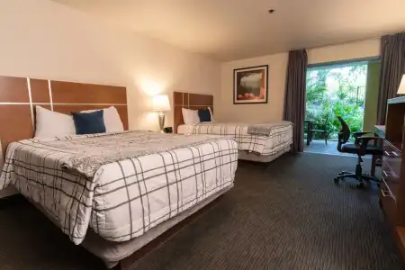 Lemon Tree Inn - 29