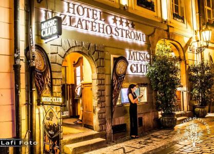 U Zlatého Stromu Prague by Bhg - 28