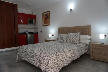Apartamentos Pirámides - 101
