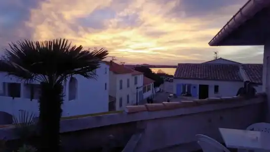 Hôtel Les Palmiers en Camargue - 54