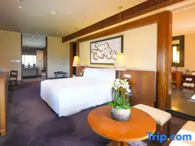 The St. Regis Lhasa Resort - 136