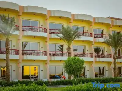 Amarina Queen Resort & Aqua Park Marsa Alam - 65