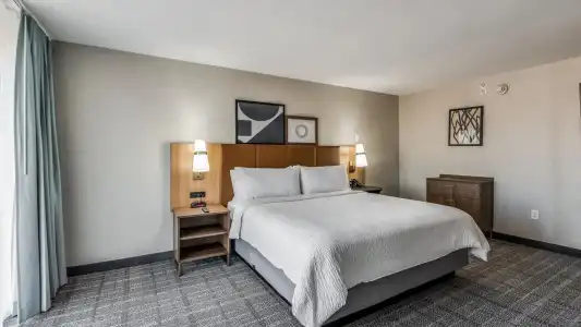 Ramada by Wyndham Dallas Love Field - 20