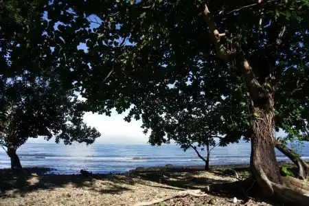 Kohchang Privilege - 16
