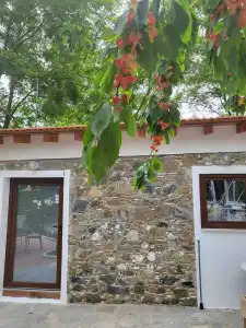Kallithea Inn - 35