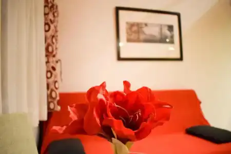 Downtown Apartments Pula - 185