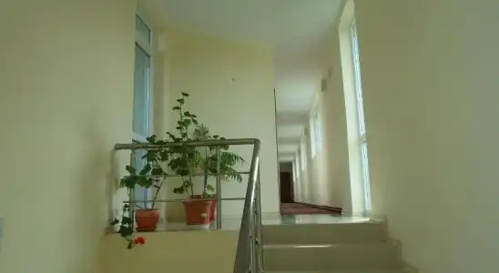 Paradise - 14