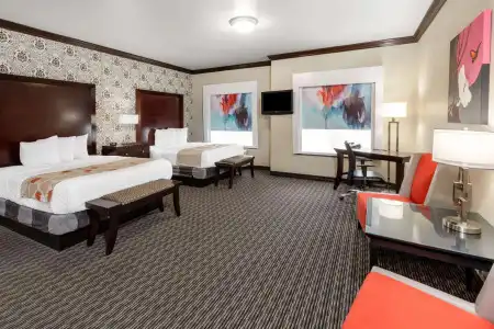 Hawthorn Suites by Wyndham Lubbock - 43