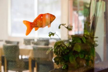 The Originals Grenoble Gambetta (ex Inter-Hotel) - 19