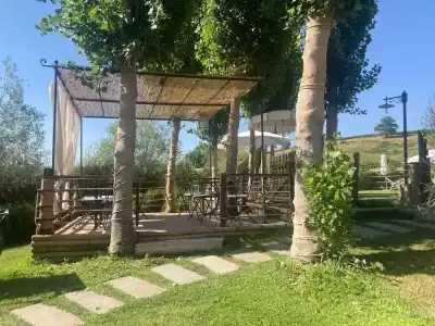 Gatto Bianco Tizzauli - 33