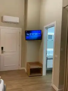 Arial Penthouse Suites - 248