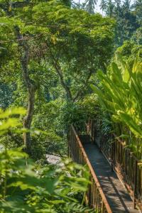 Kanva Ubud - 45