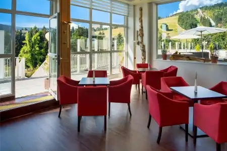 Best Western Ahorn Oberwiesenthal - Adults Only - 31