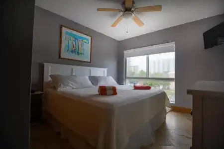 Shore View - 24