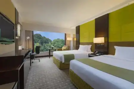 Holiday Inn Singapore Orchard City Centre by IHG - 41