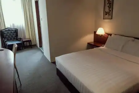 VIP (SG Clean Certified) - 1