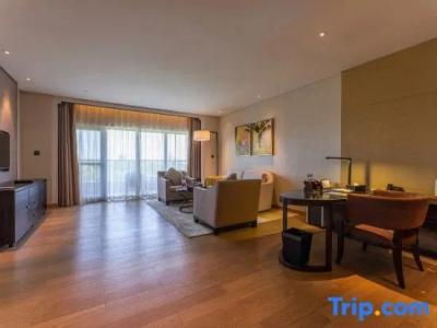 Radisson Blu Wuhan ETD Zone - 151