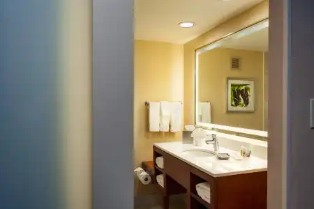 Holiday Inn AUSTIN-TOWN LAKE by IHG - 9