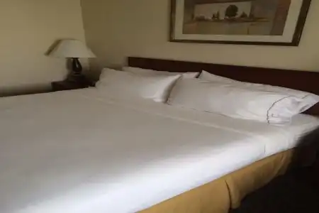 Hilton Garden Inn Minneapolis Airport Mall of America - 5