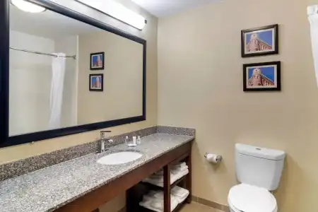 Comfort Inn & Suites Macon North I-75 - 29