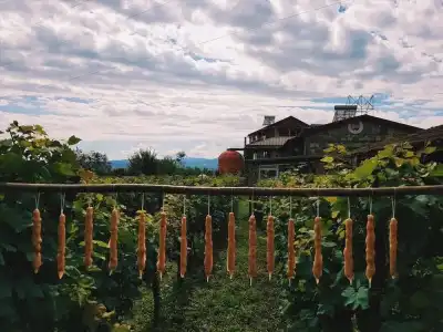 Twins Wine House - 7