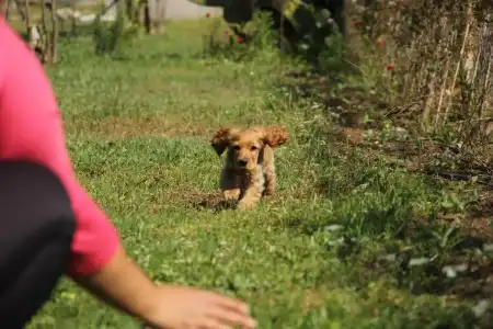 Esralina Pansiyon - 0