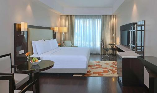 Radisson Agra - 49