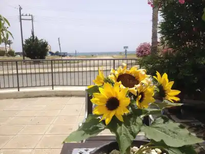 Themis Apartments - 44