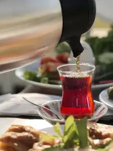 Sahil Martı - 45