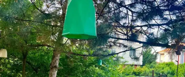 Bolu Otel - 8