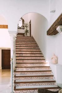 Palacio Pinello - 17