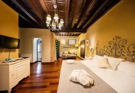 Palacio de Mariana Pineda - 48