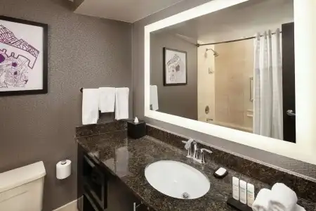 Embassy Suites by Hilton Crystal City National Airport - 87