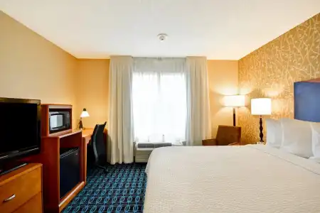 Fairfield Inn & Suites by Marriott Tampa Fairgrounds/Casino - 4