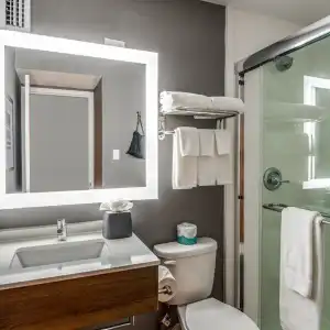 Ramada by Wyndham Dallas Love Field - 40