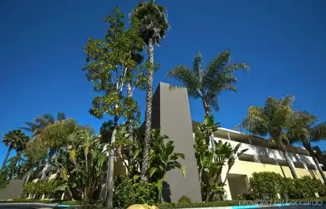 Lemon Tree Inn - 9