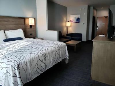 Best Western Plus San Antonio East Inn & Suites - 62